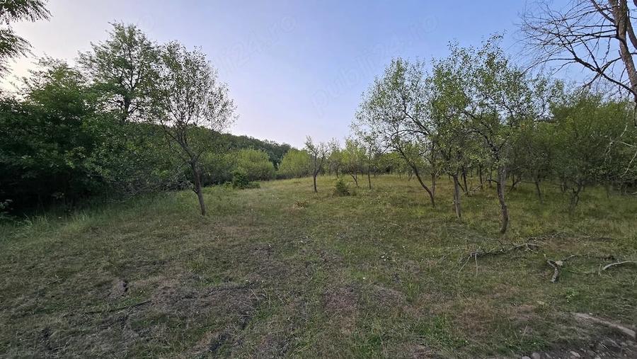 Teren de 7547 mp, în Ulieș