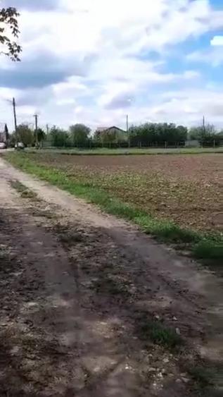 Teren Construcții intravilan de 2100 mp, în Dârza