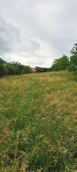 Teren de 1500 mp, în Central