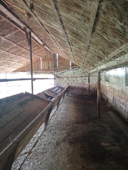 Spațiu industrial, de 317.60000610352 mp, în Nădlac
