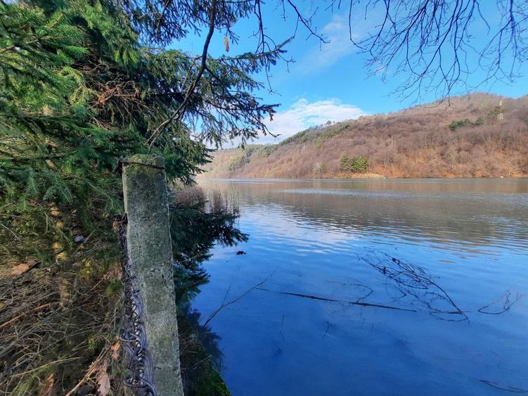 Teren intravilan de 2961 mp, în Alexandru cel Bun