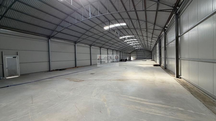 Spațiu industrial, de 1,000 mp, în Cuza Vodă