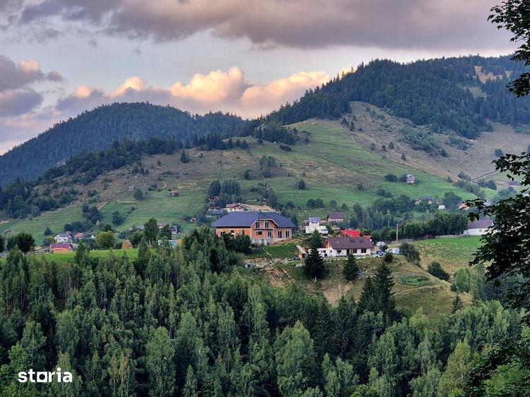Teren investitie 8635 mp extravilan , Pestera Brasov - 3