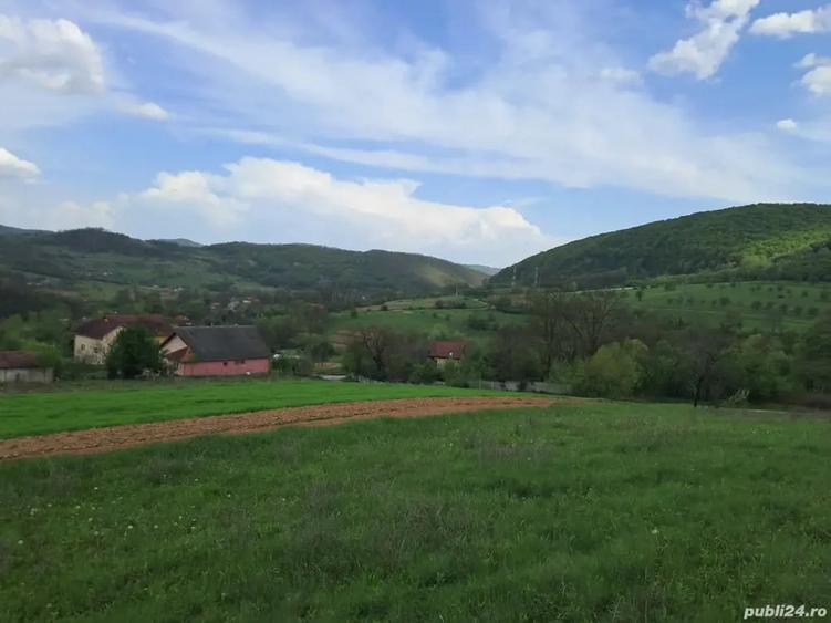 Teren de 3380 mp, în Șoimuș