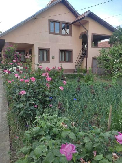 Casă cu 3 camere în Exterior Vest