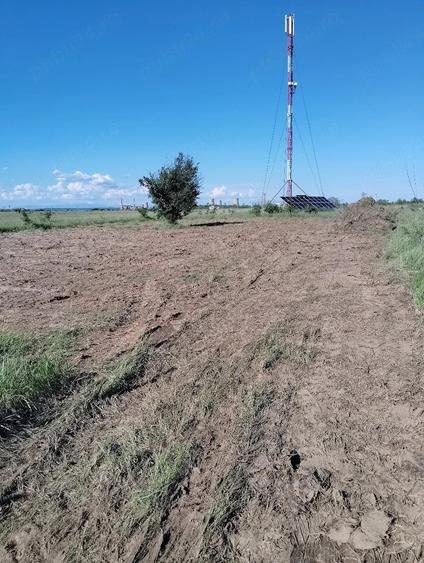Teren de 303 mp, în Bradu
