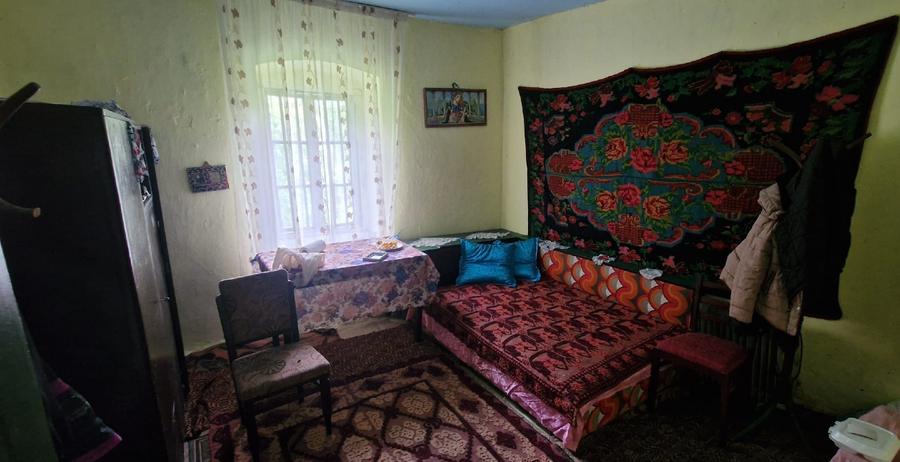 vand casa batraneasca sat Horezu-Poenari, comuna Valea Stanciului, vedere la Jiu - 11