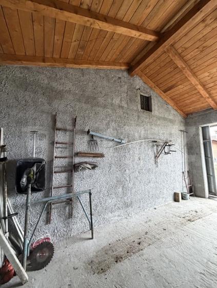 Casa P+beci, 115 mp, 1644 mp teren, zona Pielesti - 4