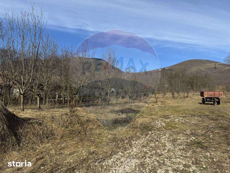 Teren de 1271 mp, în Livezile