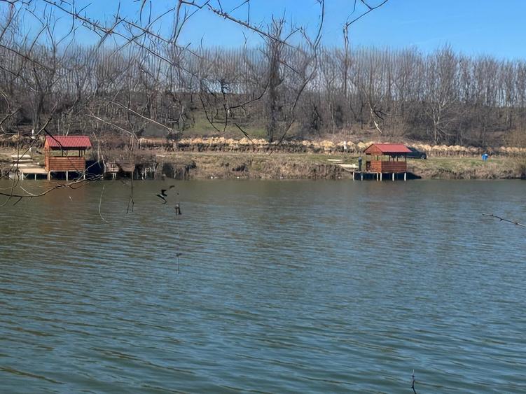 Teren Construcții intravilan de 1800 mp, în Piteasca
