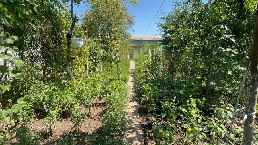 Casă cu Teren 516 Mp în Central