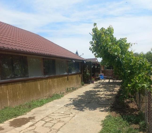 Casă cu 4 camere cu Teren 800 Mp în Kogălniceanu