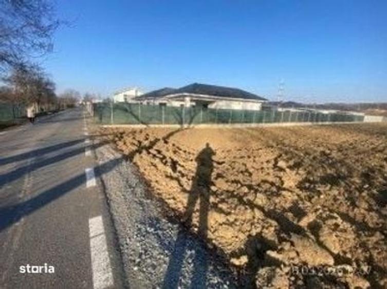 Spațiu comercial, în Viișoara