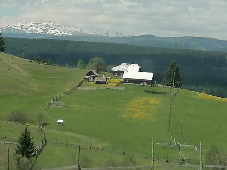 Teren de 45000 mp, în Ortoaia