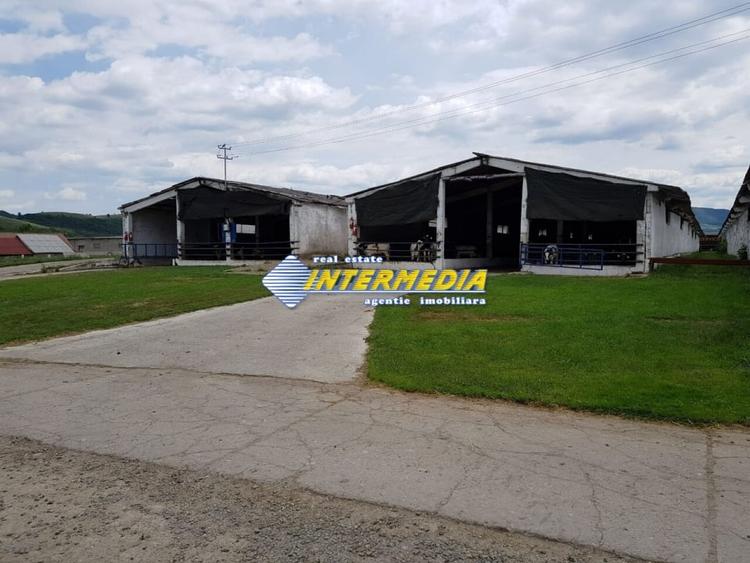 Casă individuală cu 20 camere cu Teren 35000 Mp în Pianu