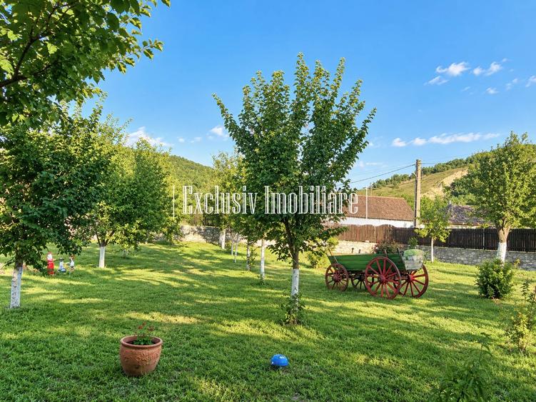 Casă cu 4 camere cu Teren 3000 Mp în Adamclisi
