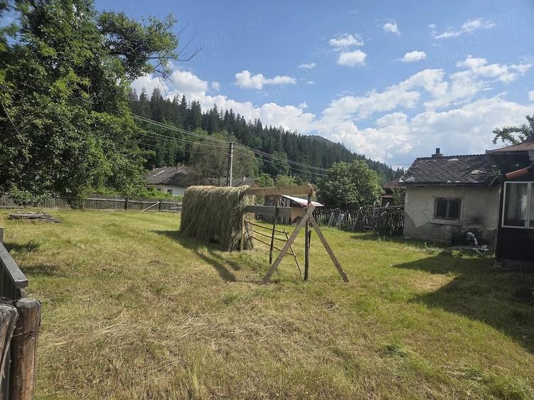 Casă cu 3 camere cu Teren 1000 Mp în Tulgheș