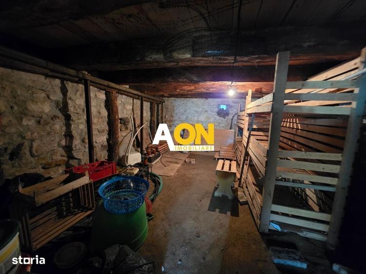 Casă cu 3 camere cu Teren 7050 Mp în Pianu