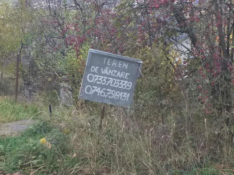Teren de 4600 mp, în Iris