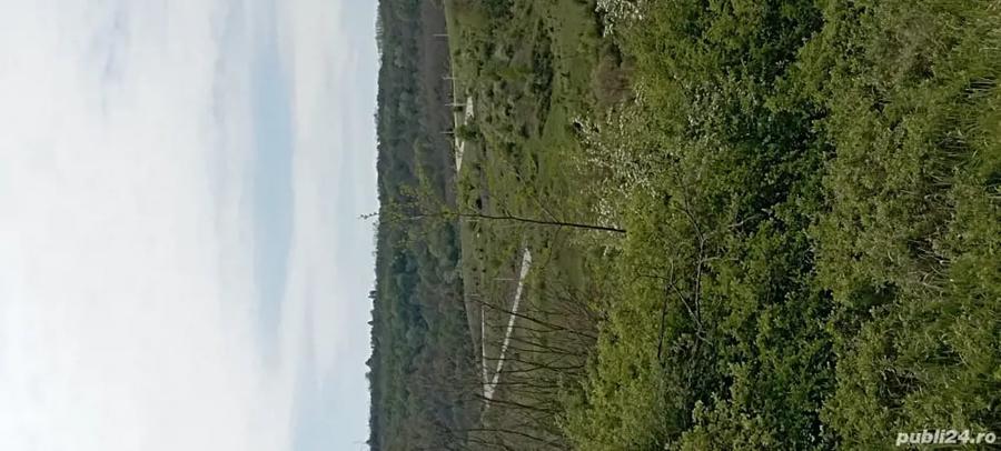 Teren în Gușoeni