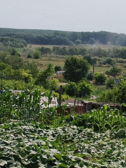Teren de 706 mp, în Mahmudia