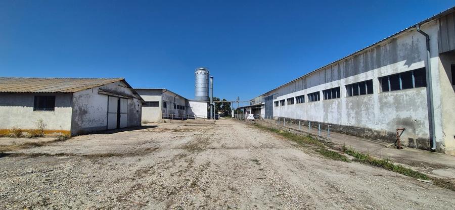 Spațiu industrial, de 2,411 mp, în Potlogi