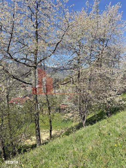 Teren de 2500 mp, în Bran