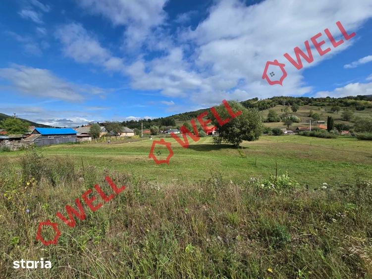 Teren de 4320 mp, în Sita Buzăului