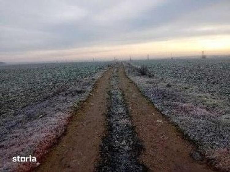 Teren de 1831 mp, în Snagov