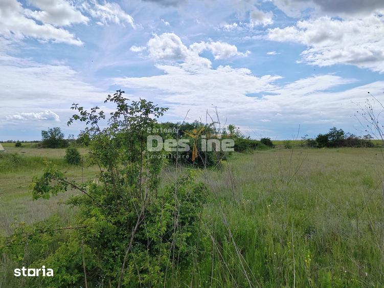 Teren de 114000 mp, în Ariceștii Rahtivani
