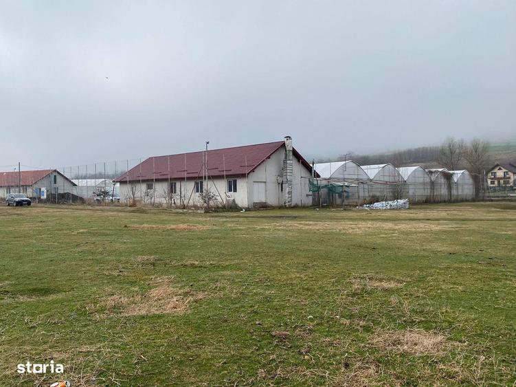Teren de 5000 mp, în Aroneanu