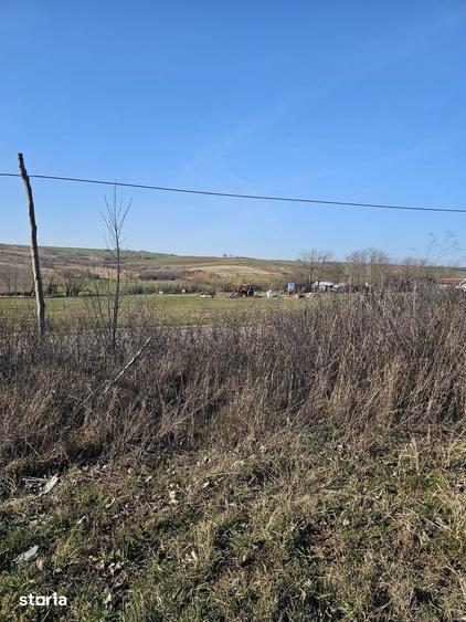 Teren de 1500 mp, în Cetariu