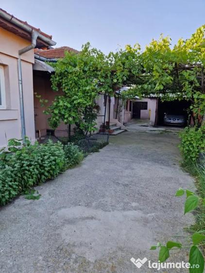 Casa de vanzare, 100 mp utili, zona Nisipuri Doroban?ia - 6