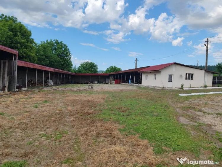 Casă cu 4 camere cu Teren 4800 Mp în Crețești