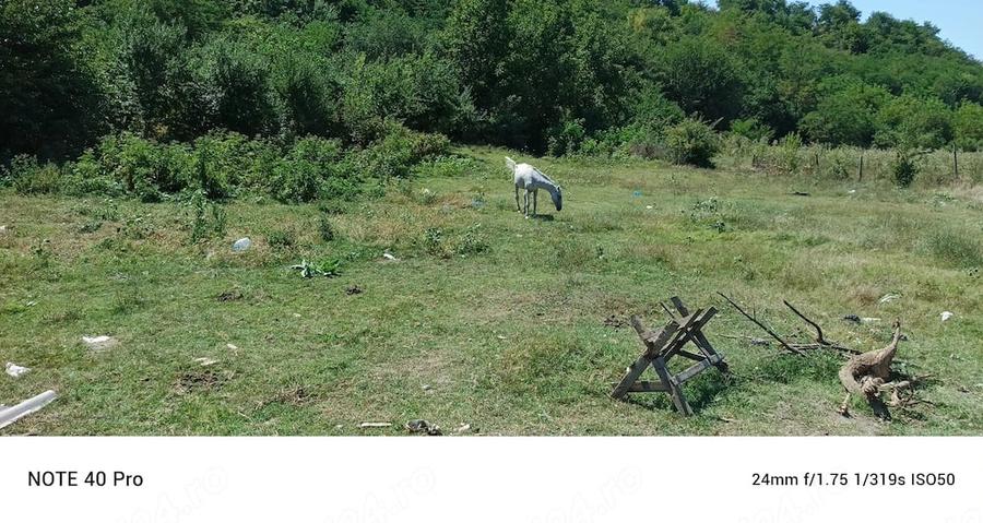 Teren de 3100 mp, în Axintele