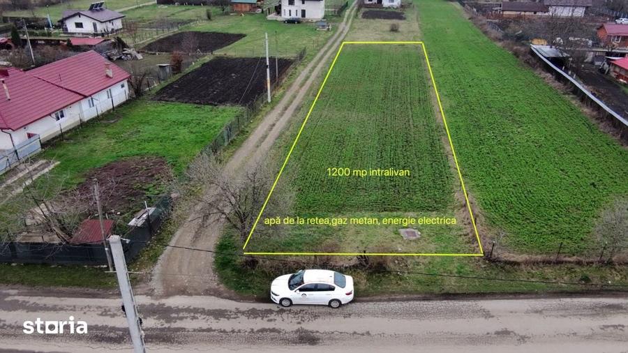 Teren de 1200 mp, în Alexandru cel Bun
