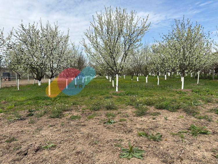 Casă individuală cu 5 camere cu Canalizare în Exterior Est