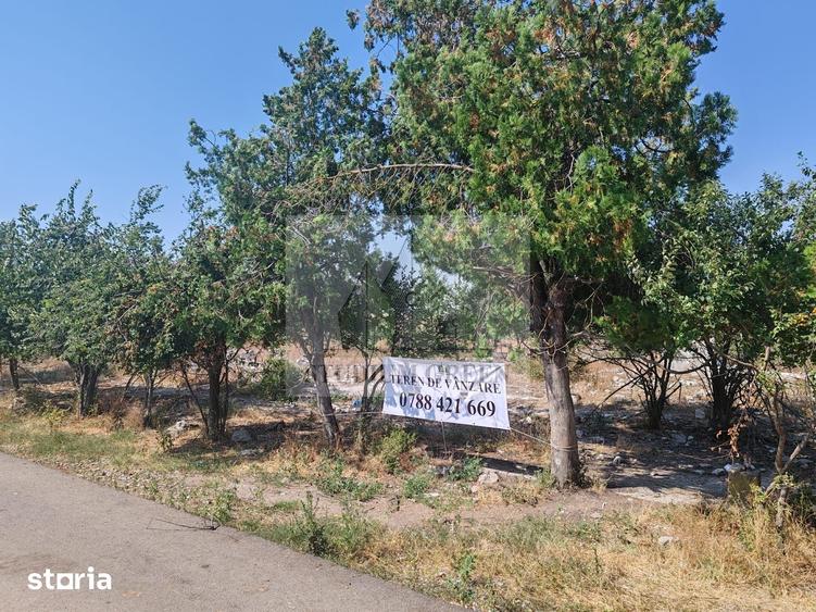 Teren de 9795 mp, în Rădoiești