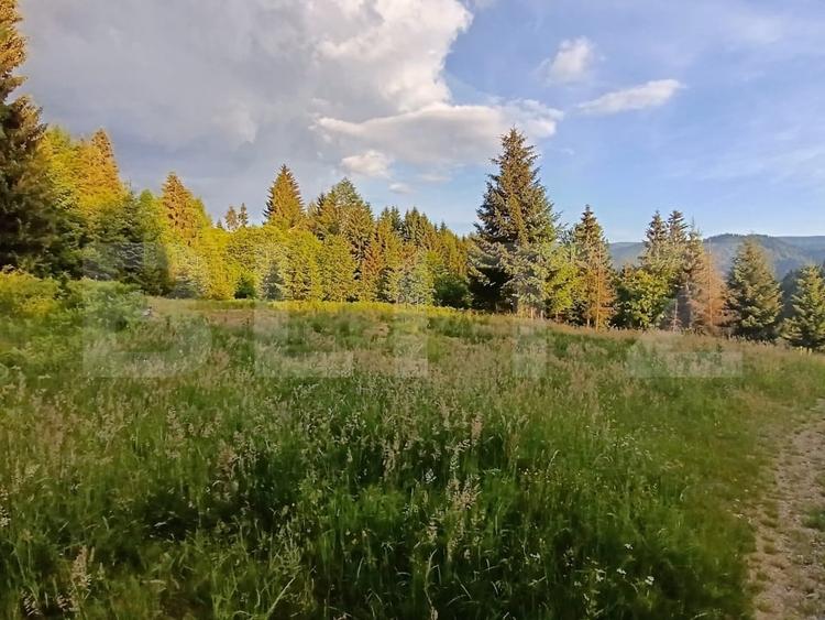 Teren Construcții intravilan de 1500 mp, în Sud