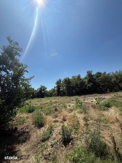 Teren de 1000 mp, în Ileana