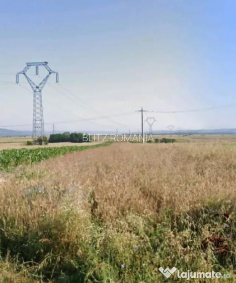 Teren agricol, 5.000 mp, Frato?ti?a - Fratostita (Dolj)