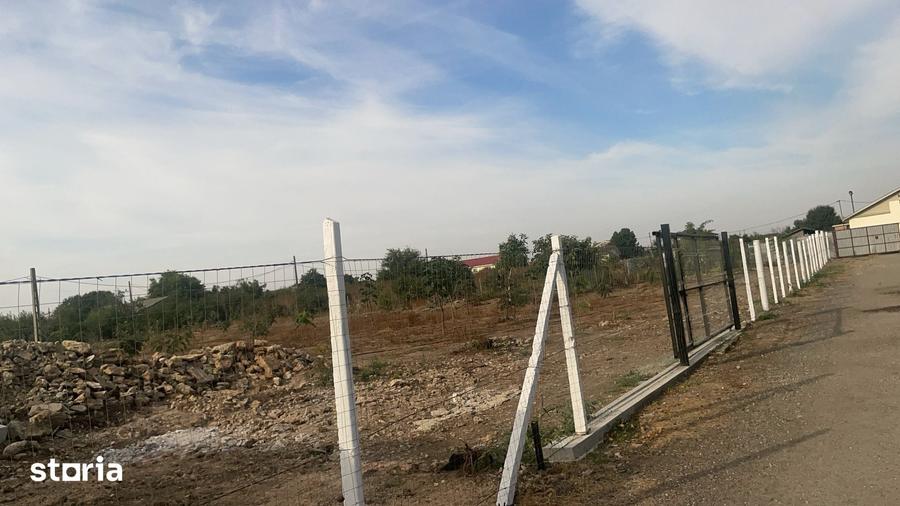Teren de 7000 mp, în Limanu