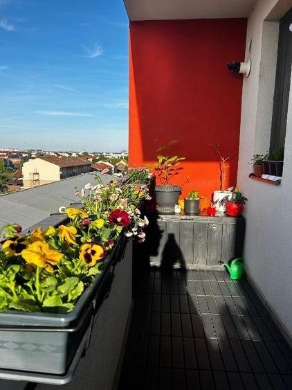 Apartament cu 3 camere, mobilat în Braytim