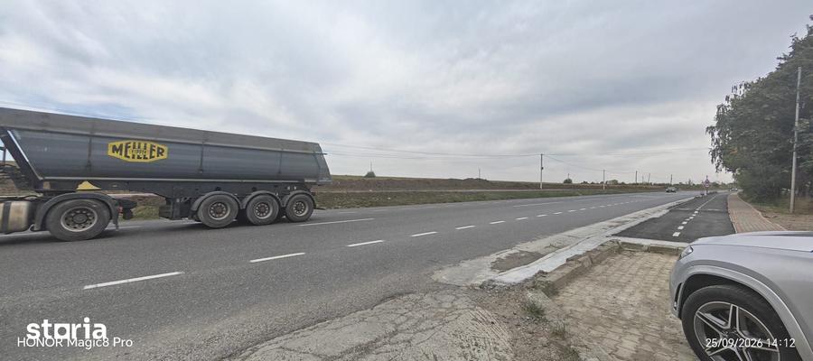 Teren de 25000 mp, în Movileni
