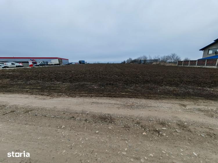 Teren de 8918 mp, în Sărata