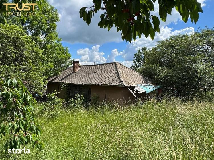 Casă cu 4 camere cu Teren 3135 Mp în Dângău Mare