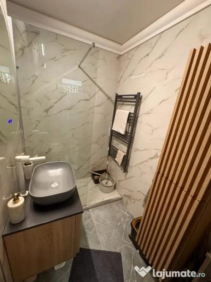 Apartament cu 2 camere decomandat în Rovine
