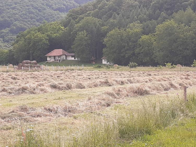 Spațiu comercial, în Orlat