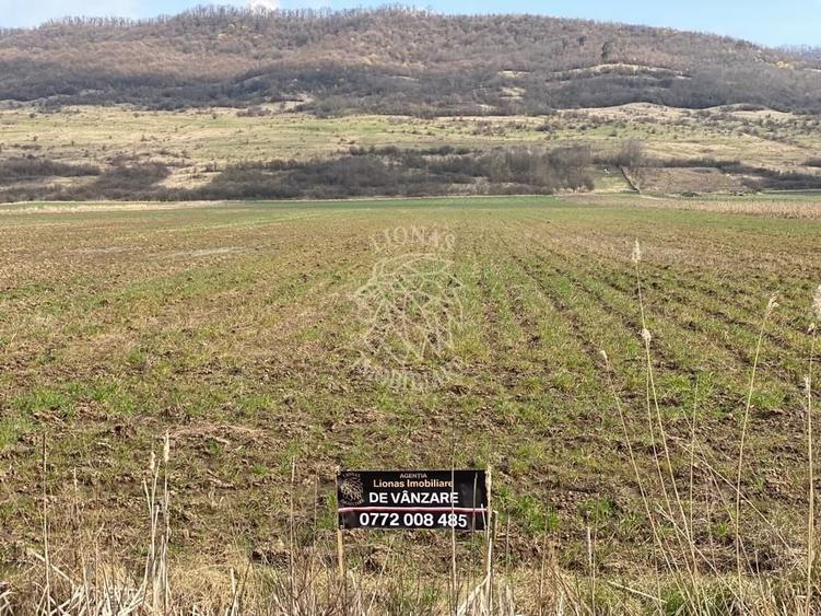 Teren Construcții intravilan de 3750 mp, în Podirei