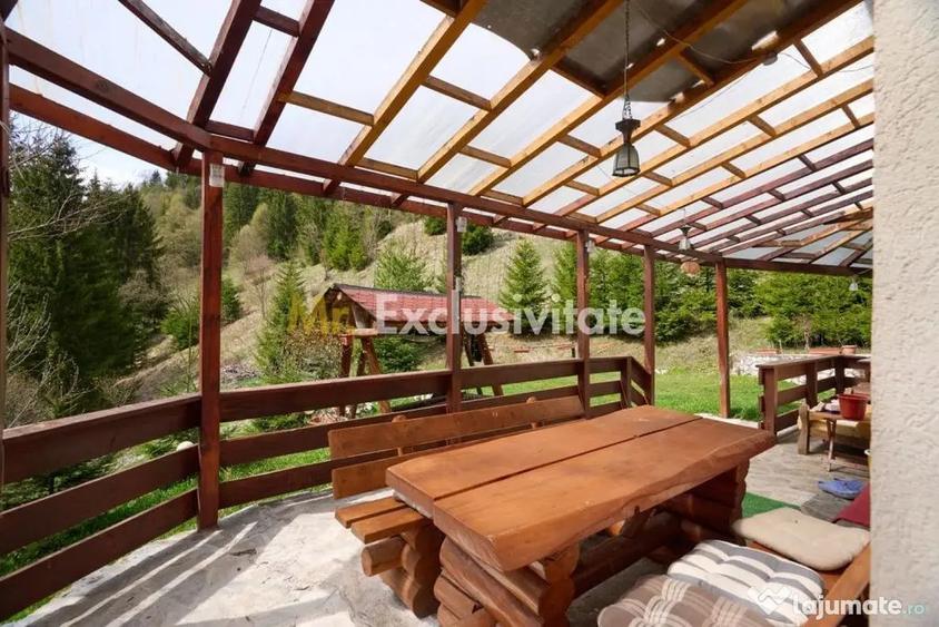 Casă cu 5 camere cu Teren 6412 Mp în Dâmbovicioara